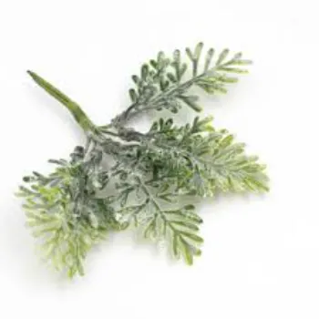 Ideal Artificial Leaf